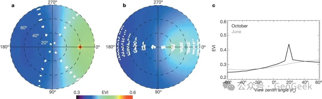 Sun–sensor geometry can create apparent dry-season green-up over the Amazon