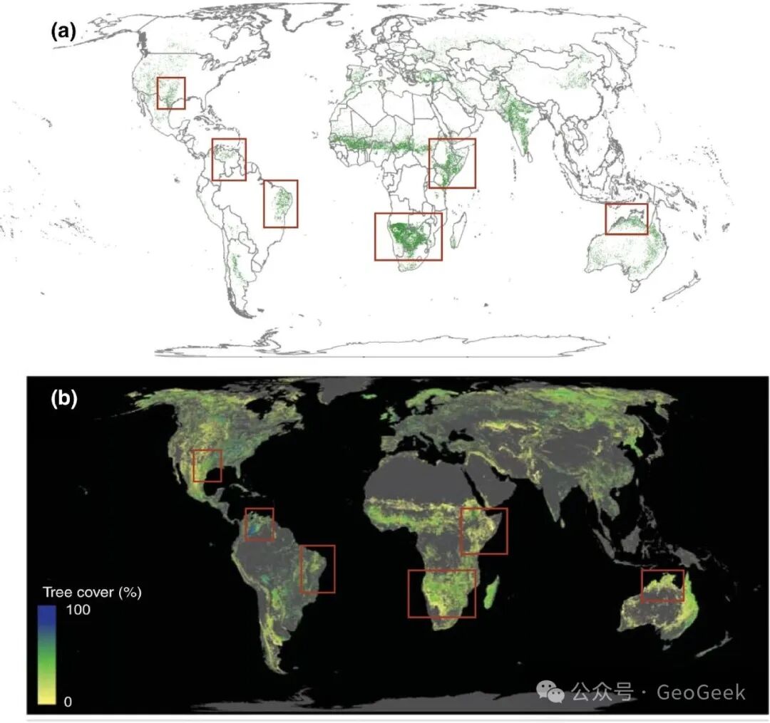 Spatial overlap between dryland restoration potential and underestimation of existing tree cover